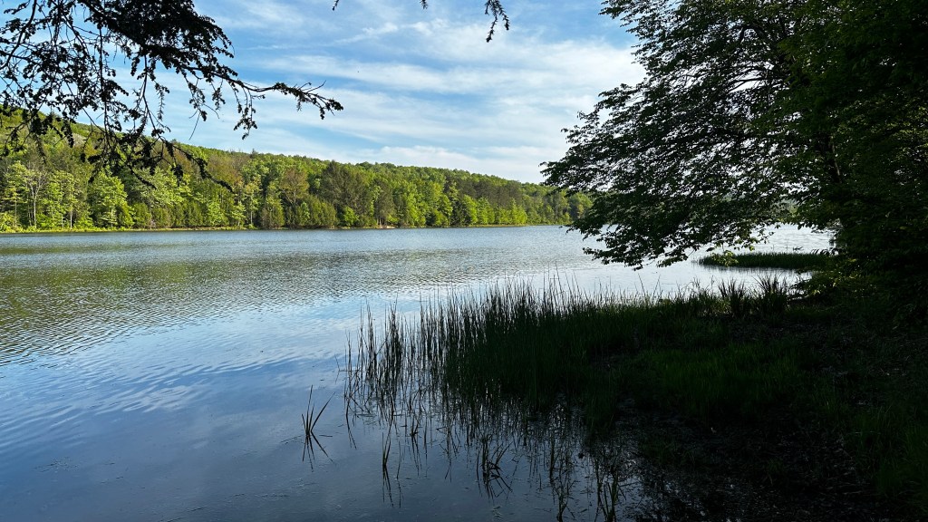 Camping at Chemung Park Station Recreation &&nbsp;Campground